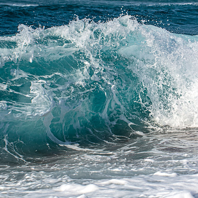 Pure Prana Bilder - 68